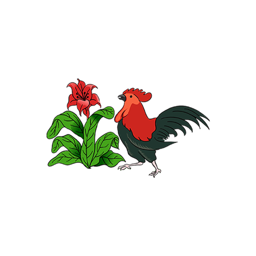 Bonus AYAM11